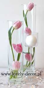 tulipany w rurce